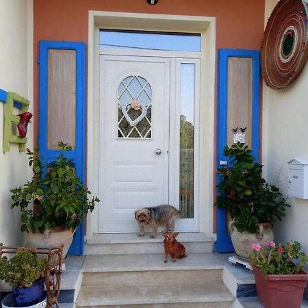 Stanza Privata Casa Artistica Mariola Bed and Breakfast San Sperate Εξωτερικό φωτογραφία